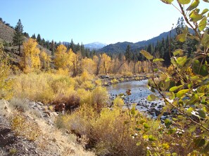 Exterior - Where Eagles Fly Bed & Breakfast (Zephyr Cove)