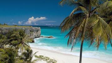 Apartment, 1 Bedroom, Sea View | View from room