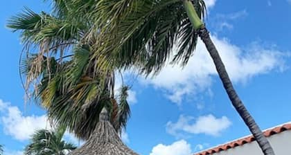 Arubiana Inn