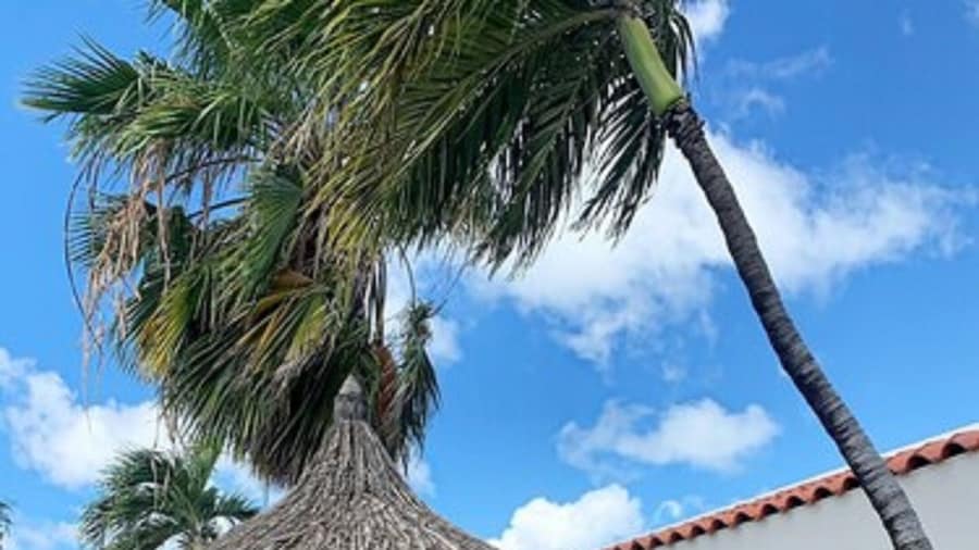 Arubiana Inn
