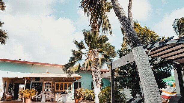 A pool area with palm trees, a building with a green roof, and outdoor seating. - Arubiana Inn (Noord)