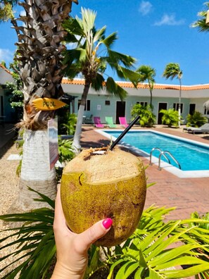 Bar (on property) - Arubiana Inn (Noord)
