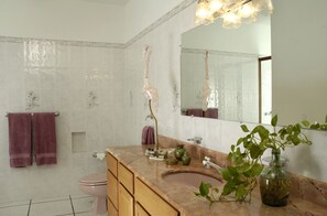 A bathroom with a marble sink, a large mirror, and a potted plant. - Casa de Amor (Cabo San Lucas)