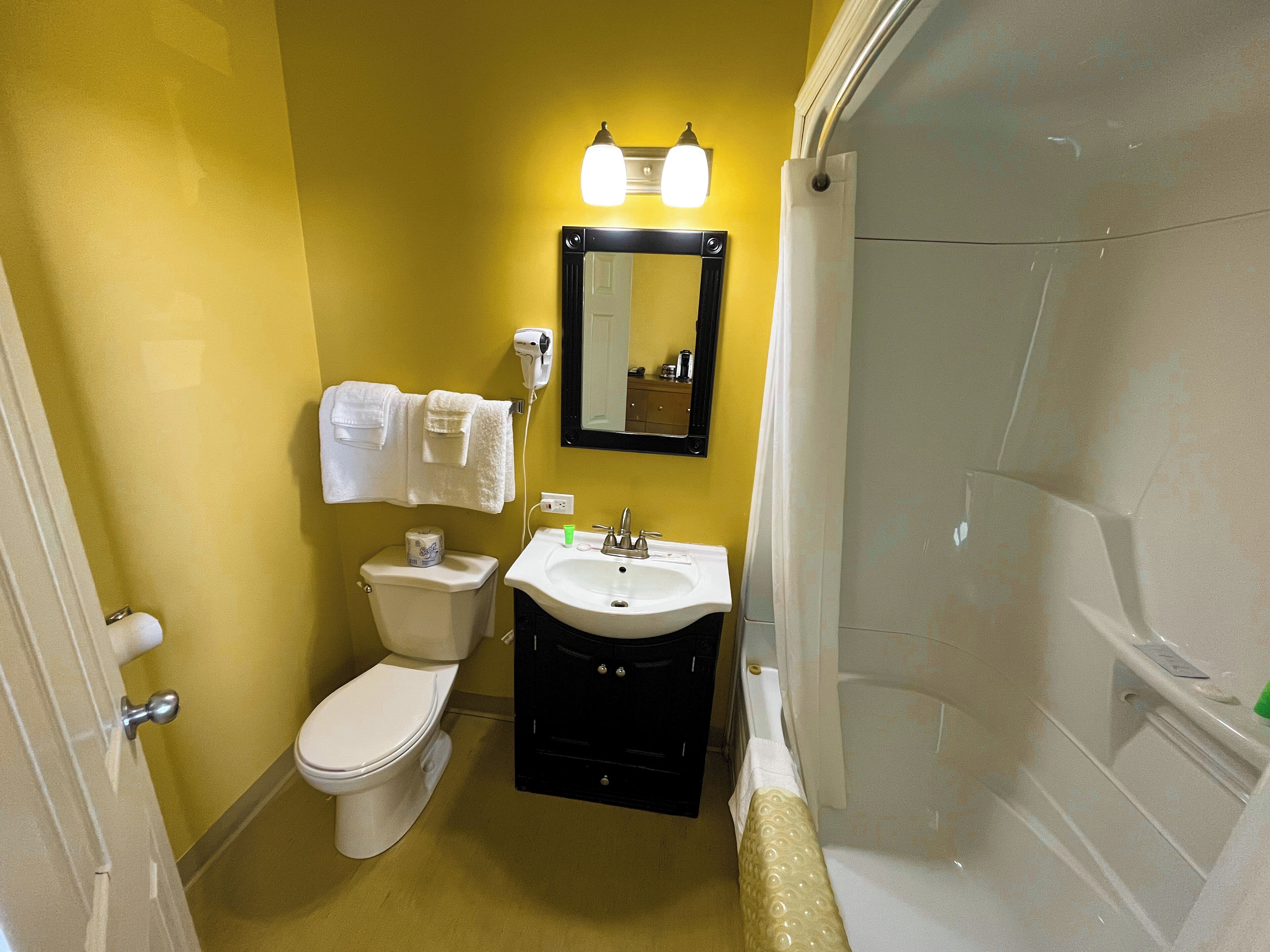 combined shower/bathtub, free toiletries, hair dryer, towels