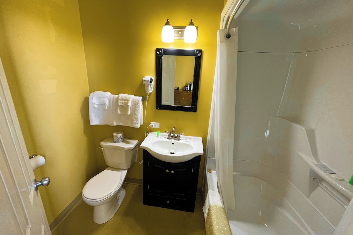 combined shower/bathtub, free toiletries, hair dryer, towels
