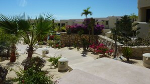 Property grounds - Villa Tortuga (Cabo San Lucas)