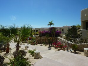 Property grounds - Villa Tortuga (Cabo San Lucas)