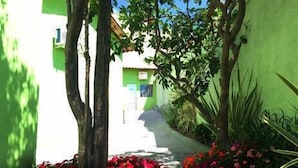 Une ruelle étroite aux murs verdoyants, bordée d’un chemin où s’épanouissent de magnifiques fleurs.