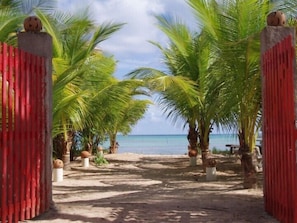 Un sendero que lleva a una playa con palmeras y vistas al mar.