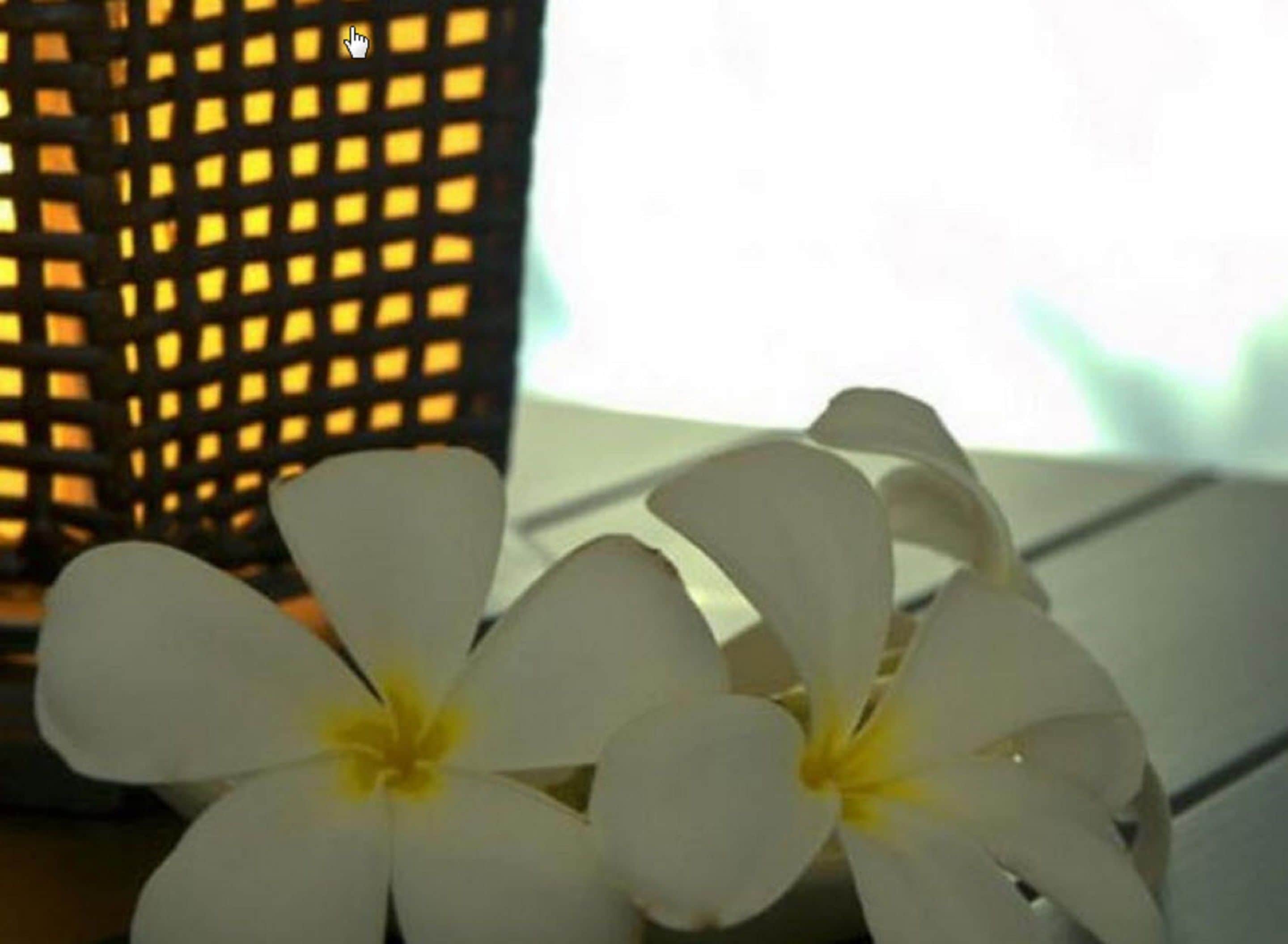 Photo - Chintakiri Resort