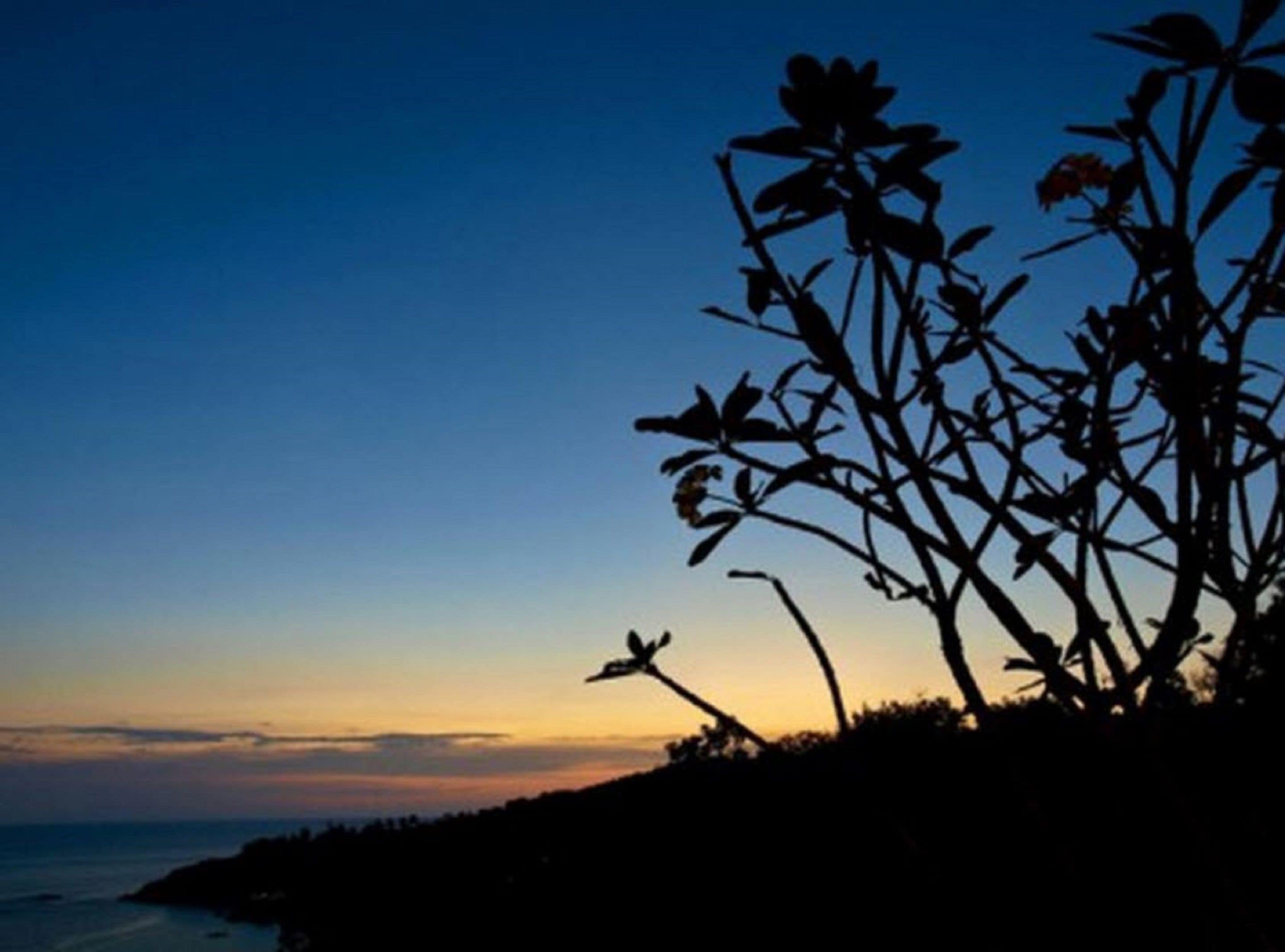 Photo - Chintakiri Resort