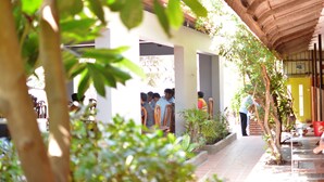 Un patio con zona de estar cubierta, pared de ladrillo y plantas en macetas.