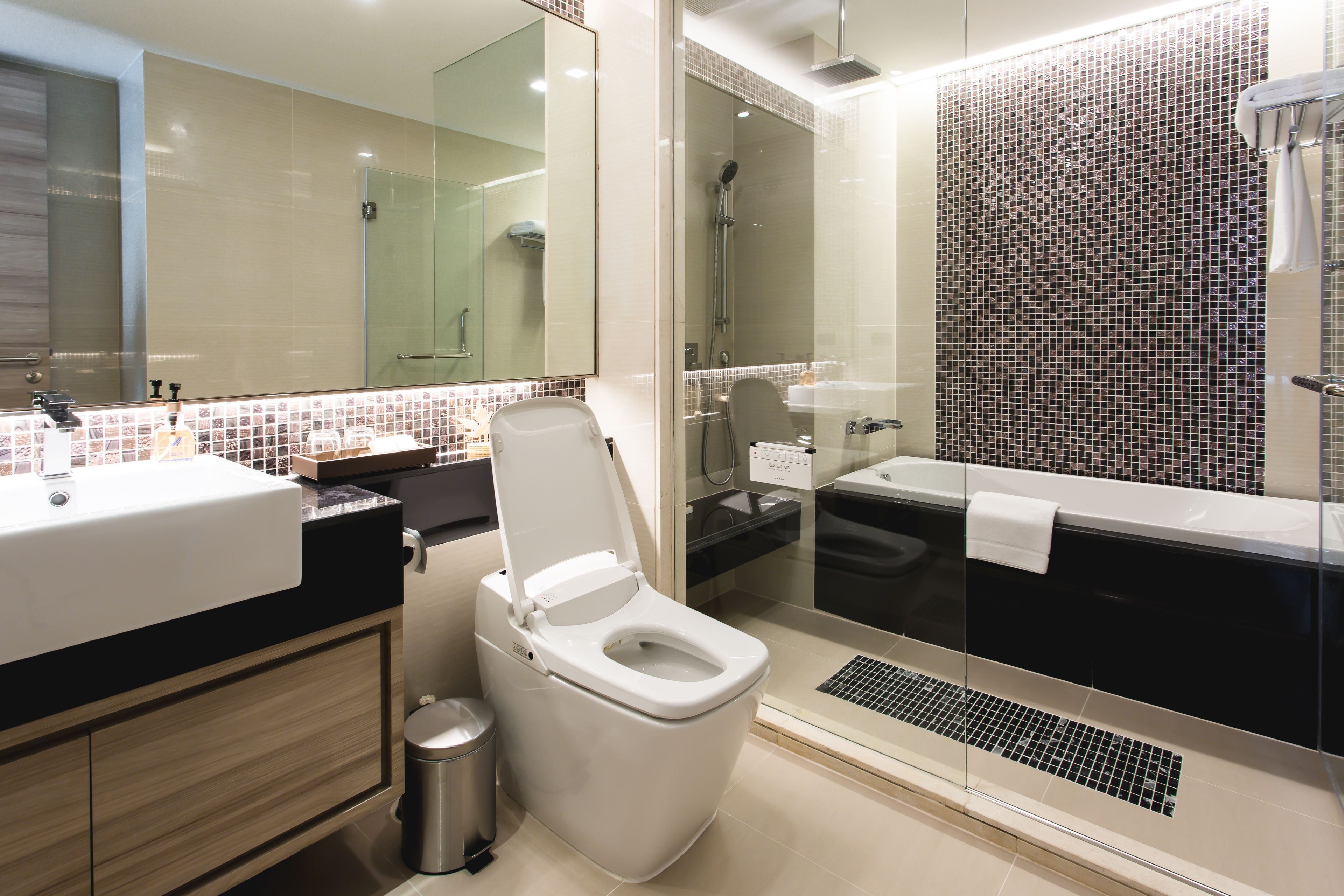 executive room | bathroom | separate bathtub and shower, deep-soaking bathtub, free toiletries