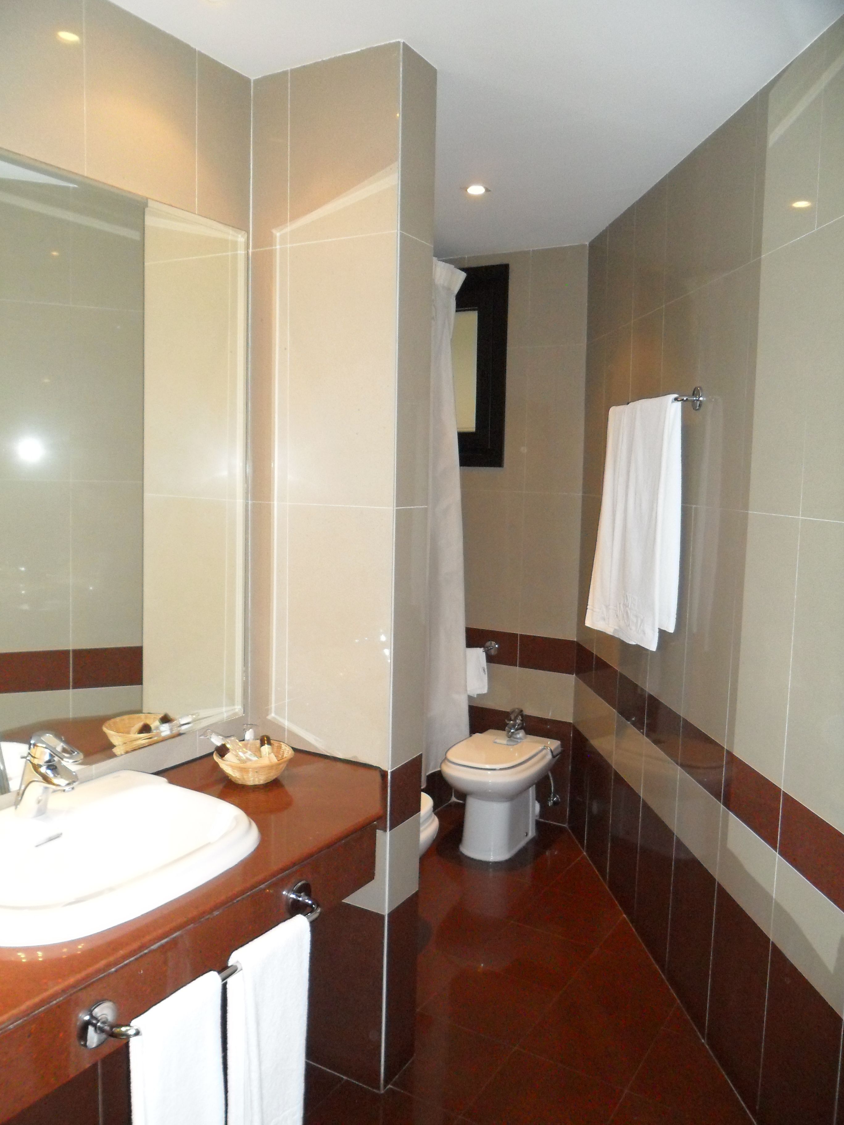 single room | bathroom | free toiletries, hair dryer, bidet, towels