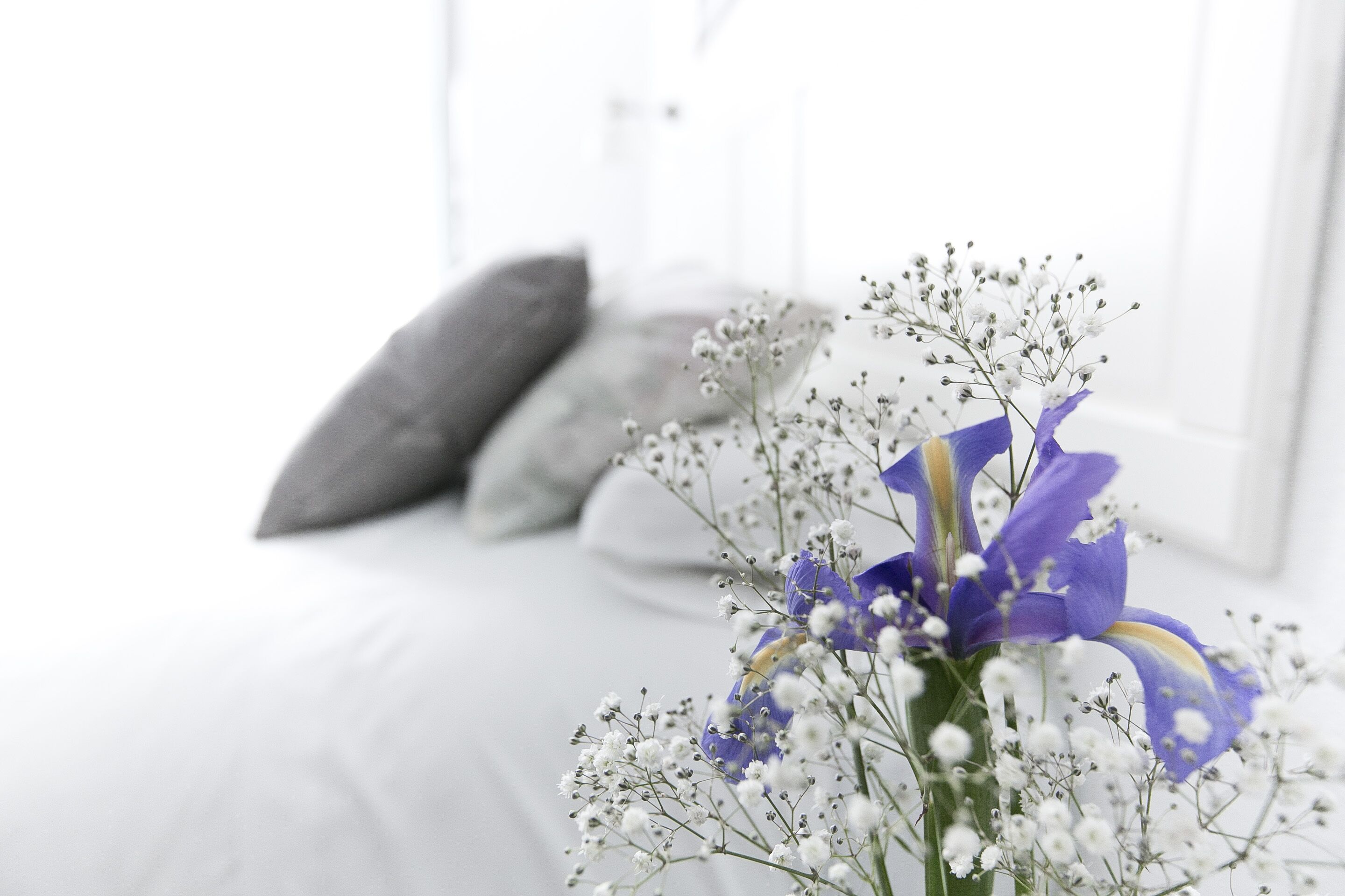 Foto - Vázquez de Mella Gran Vía