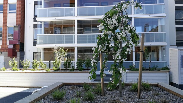 Un edificio moderno de varios pisos, con amplios ventanales y un jardín bien cuidado con plantas blancas florecientes y pequeños árboles.