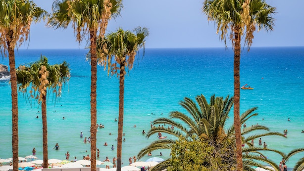 Una playa con palmeras y gente nadando en el agua.