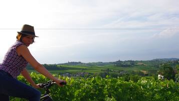 A person riding a bicycle through a vineyard with a view of rolling hills and buildings in the distance.