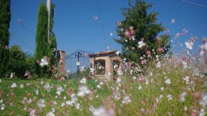 Een landelijk gebouw met een bakstenen gevel en een rondboogvormige ingang, omringd door weelderige begroeiing en wilde bloemen.