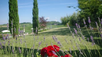 A garden with lavender and red flowers, a grassy field, and tall trees in the background.