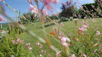 Un jardin où l’on trouve une variété de plantes et de fleurs.