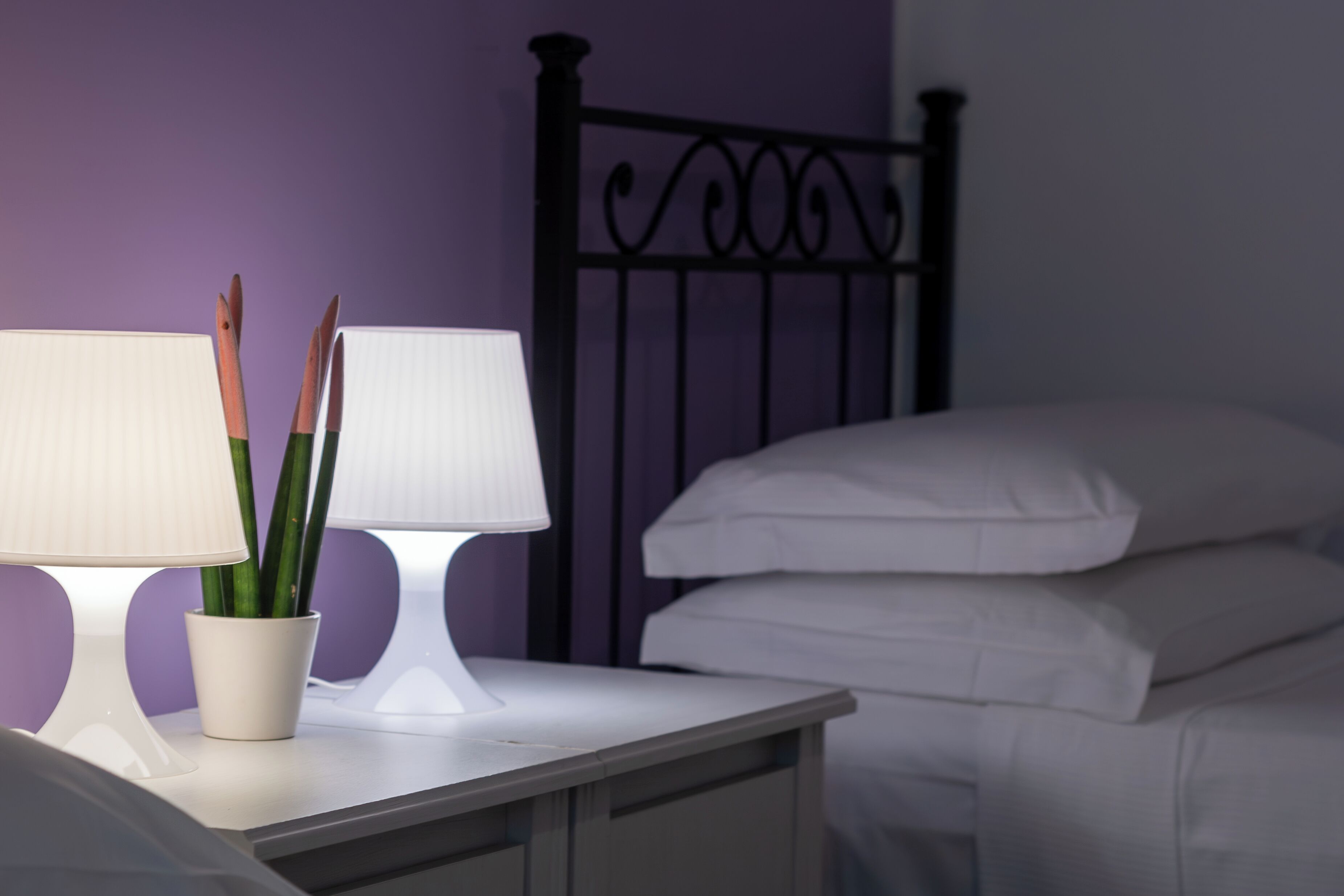A bed with white bedding, a bedside table with a lamp, and a potted plant.