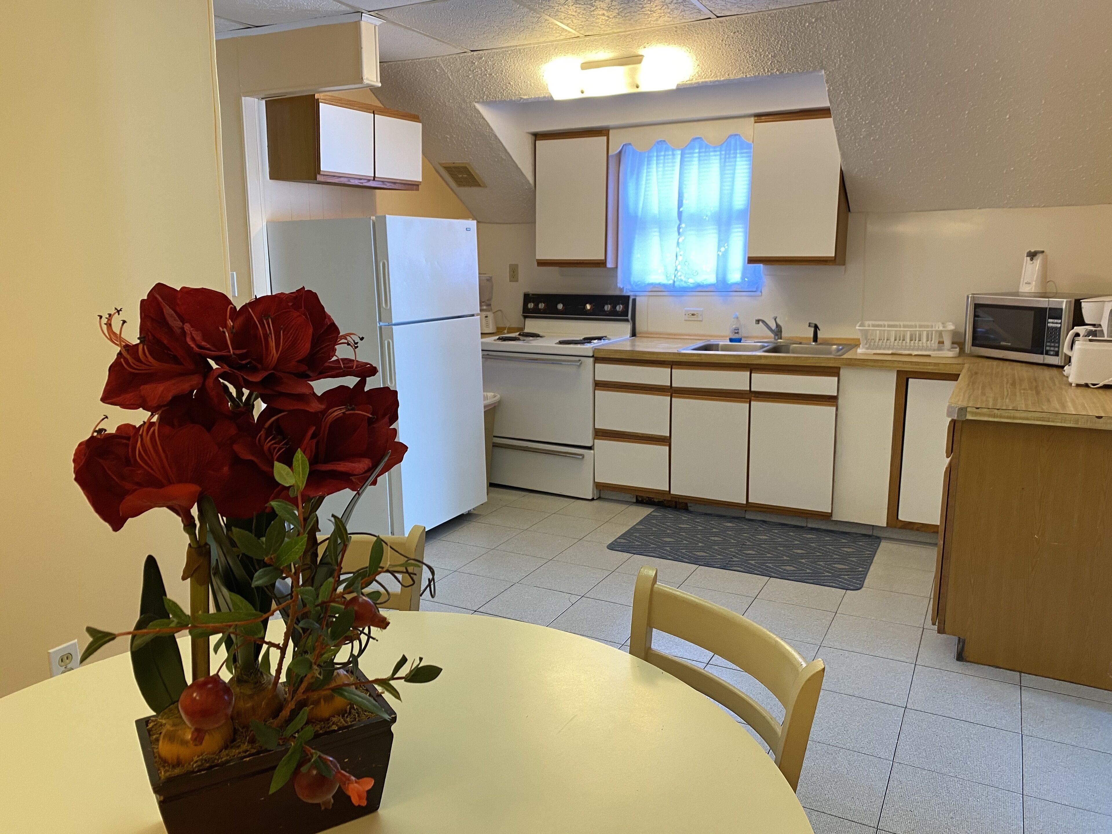 Une cuisine compacte avec des meubles blancs, un réfrigérateur, une cuisinière et un four à micro-ondes. On y trouve une table à manger avec une chaise et un pot de fleurs avec des fleurs rouges.