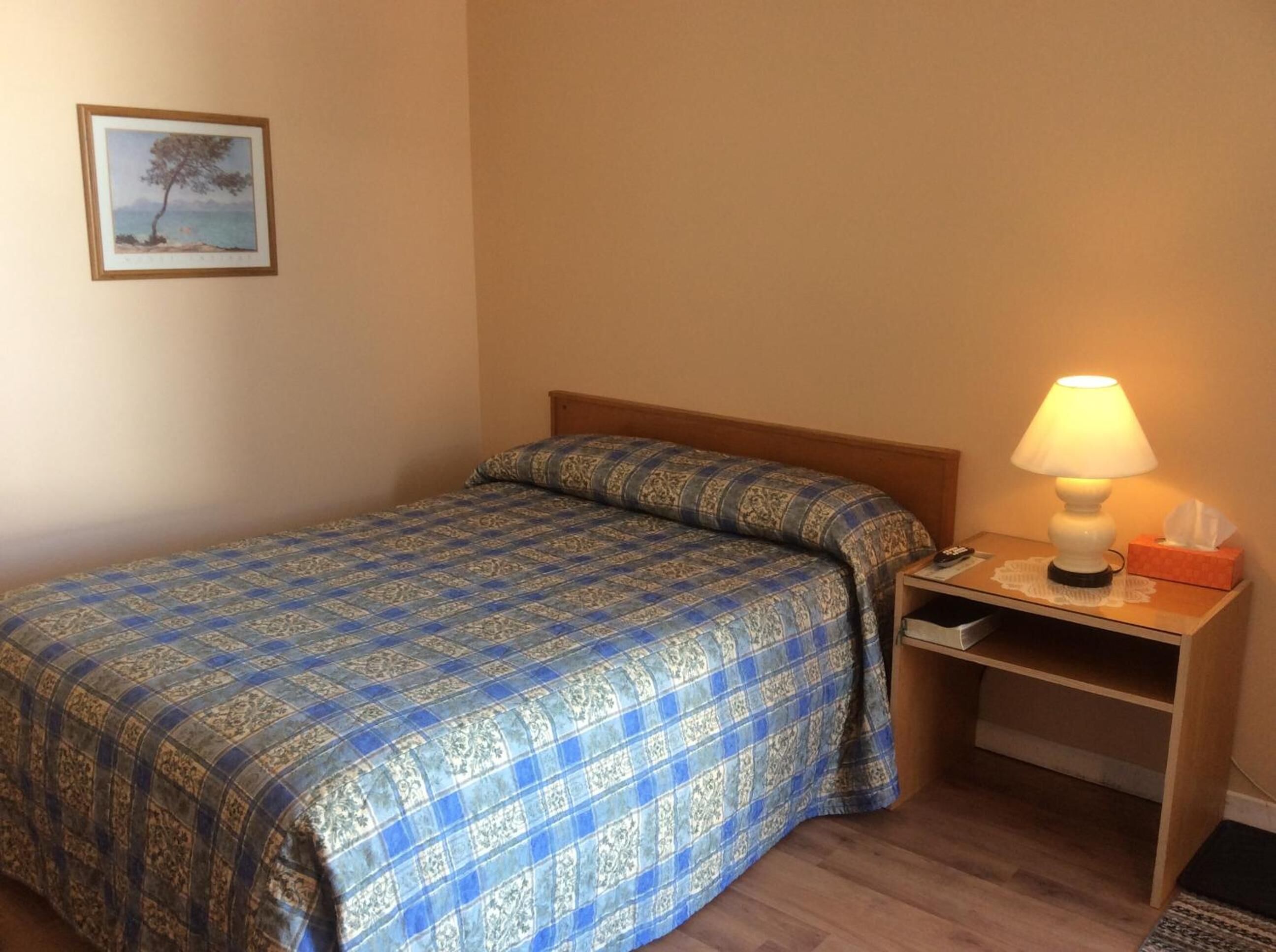 A single bed with a blue patterned bedspread, a wooden nightstand with a lamp, a tissue box, and a framed picture of a tree on the wall.