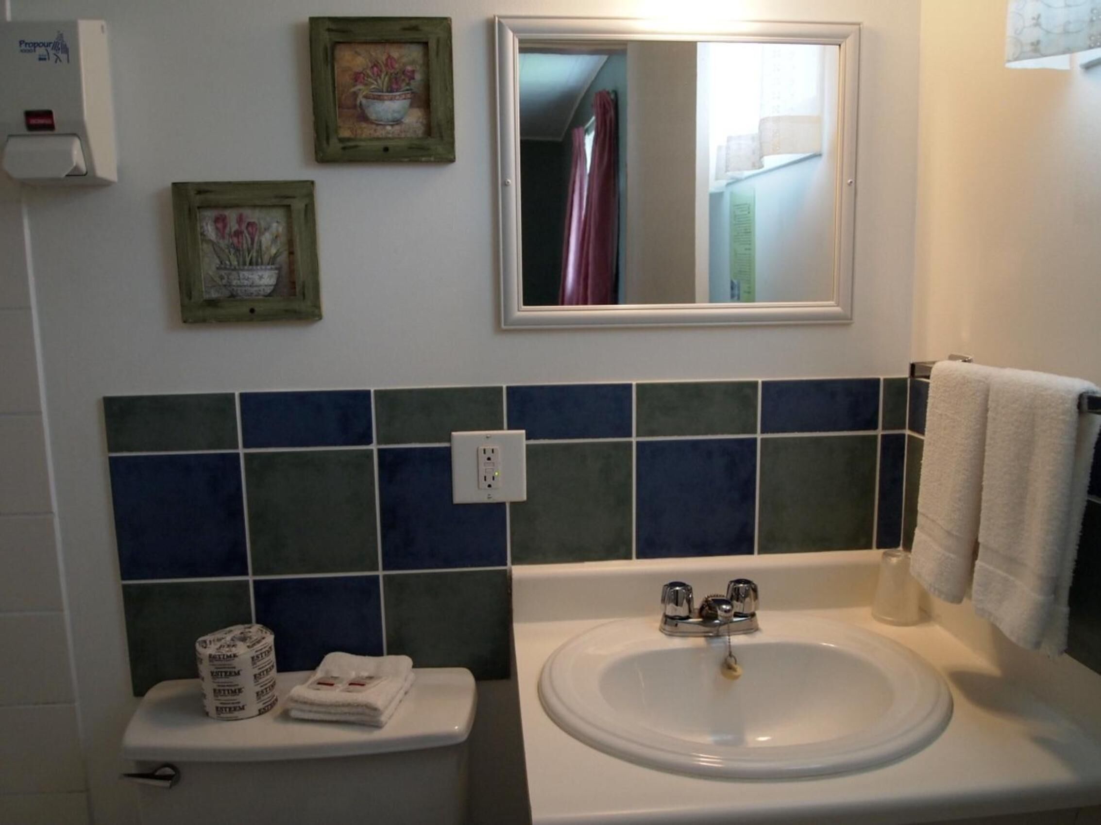 A bathroom with a white sink, a toilet, and a mirror above the sink. There are two framed pictures on the wall, a towel rack with a towel, and a roll of toilet paper on the toilet.