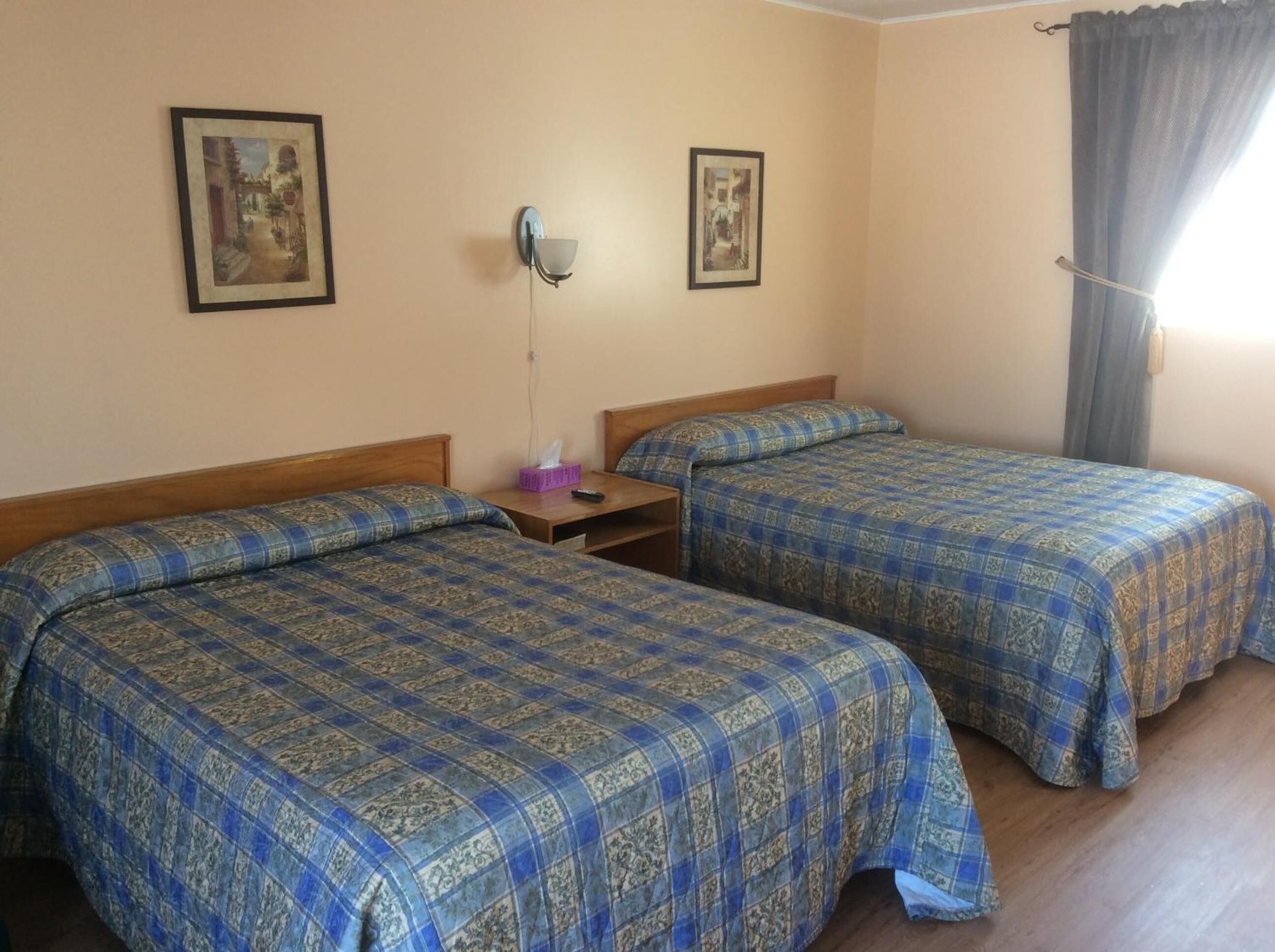 A room with two beds, each with a patterned blue and gold bedspread, a nightstand with a tissue box, and a wall-mounted lamp.