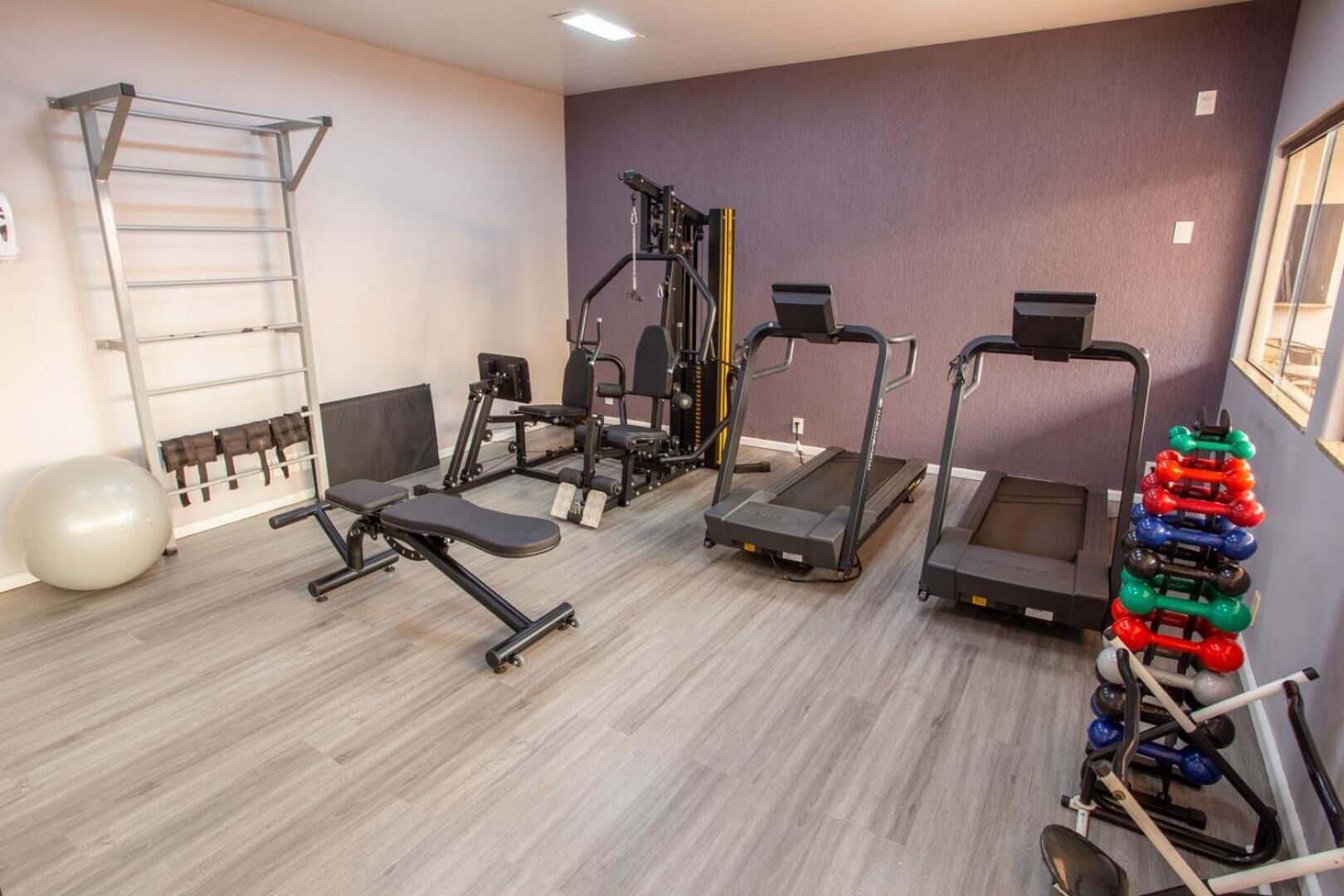 Et fitnessrum med træningsudstyr, en pull-up stang og et vægtstativ.