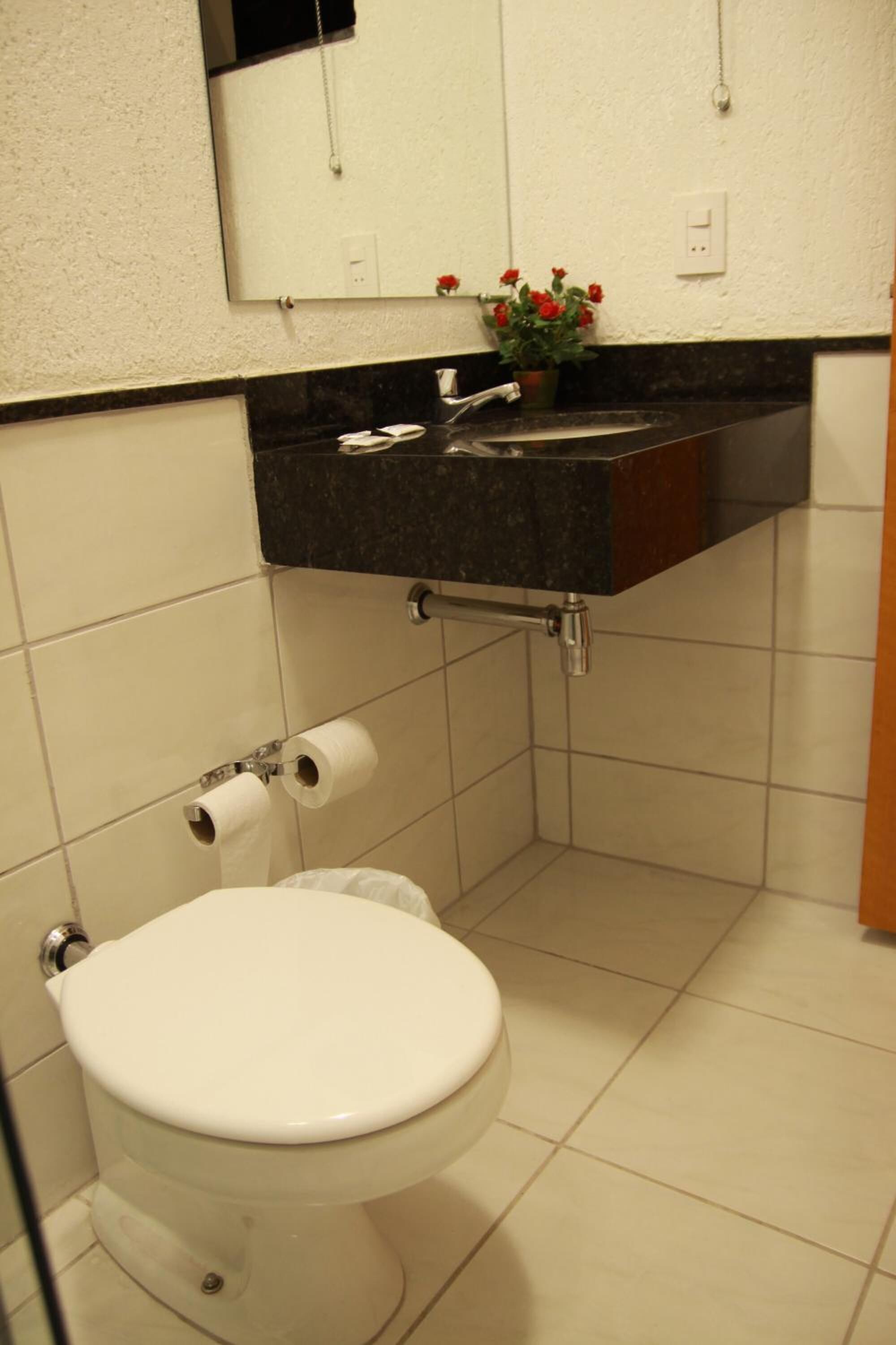 shower, soap, toilet paper