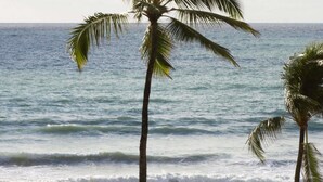 Una playa con palmeras, olas del océano y un letrero.