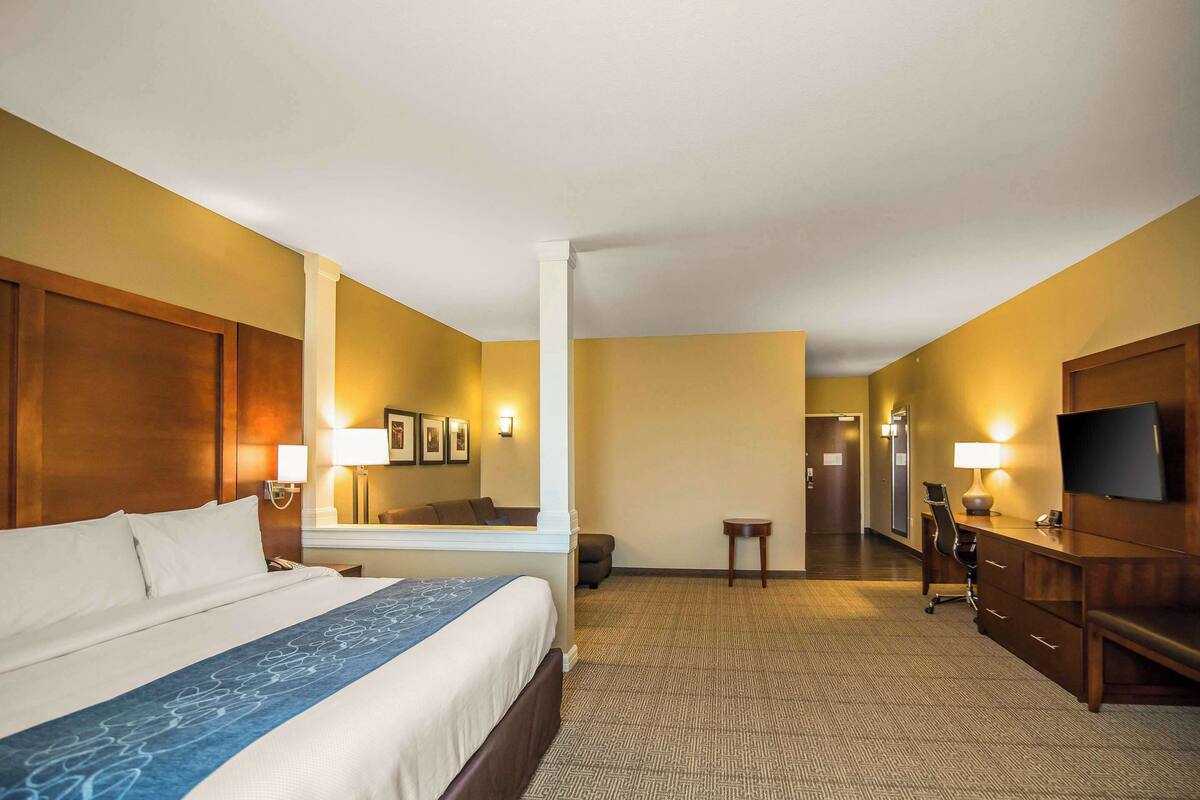 suite, 1 king bed with sofa bed, non smoking (whirlpool in bath) | desk, laptop workspace, iron/ironing board, free wifi