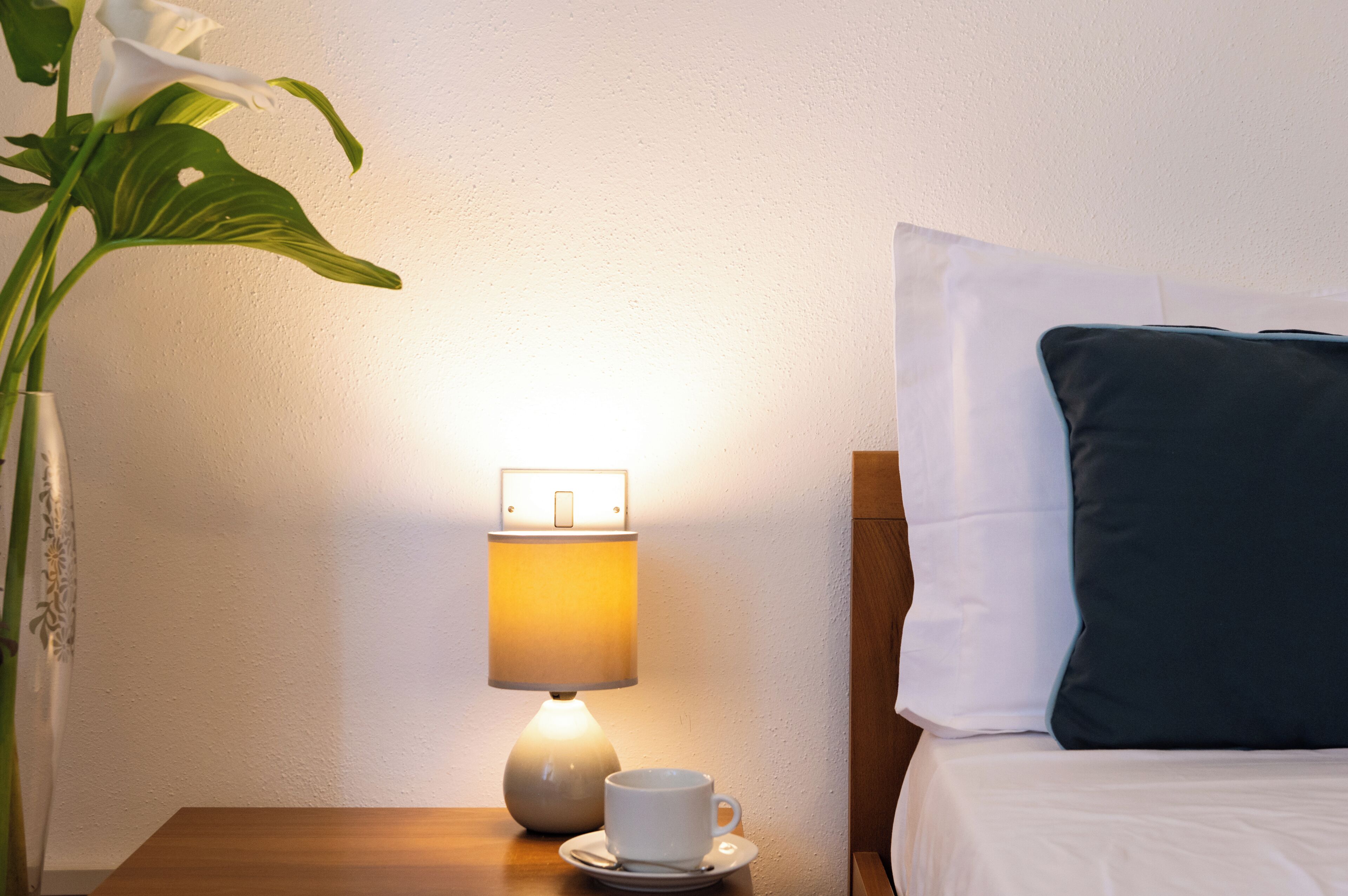 A hotel room with a bedside table, a lamp, a cup, a pillow, and a plant.