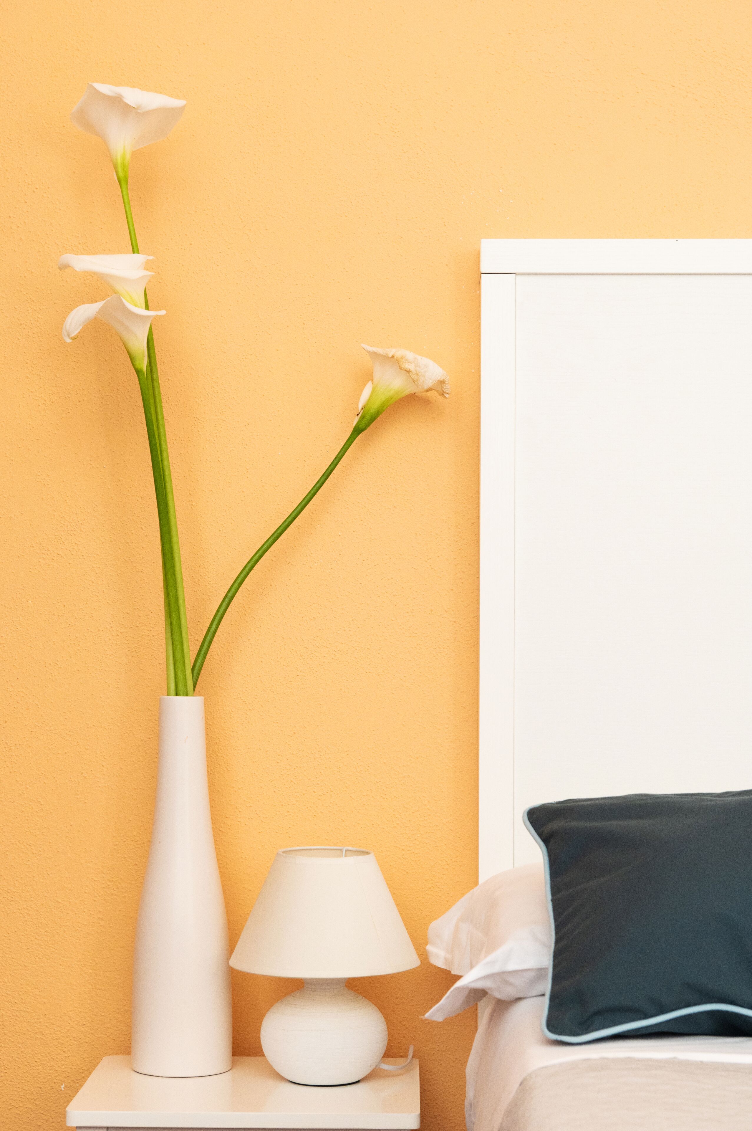 Photo - Hotel L'Aragosta