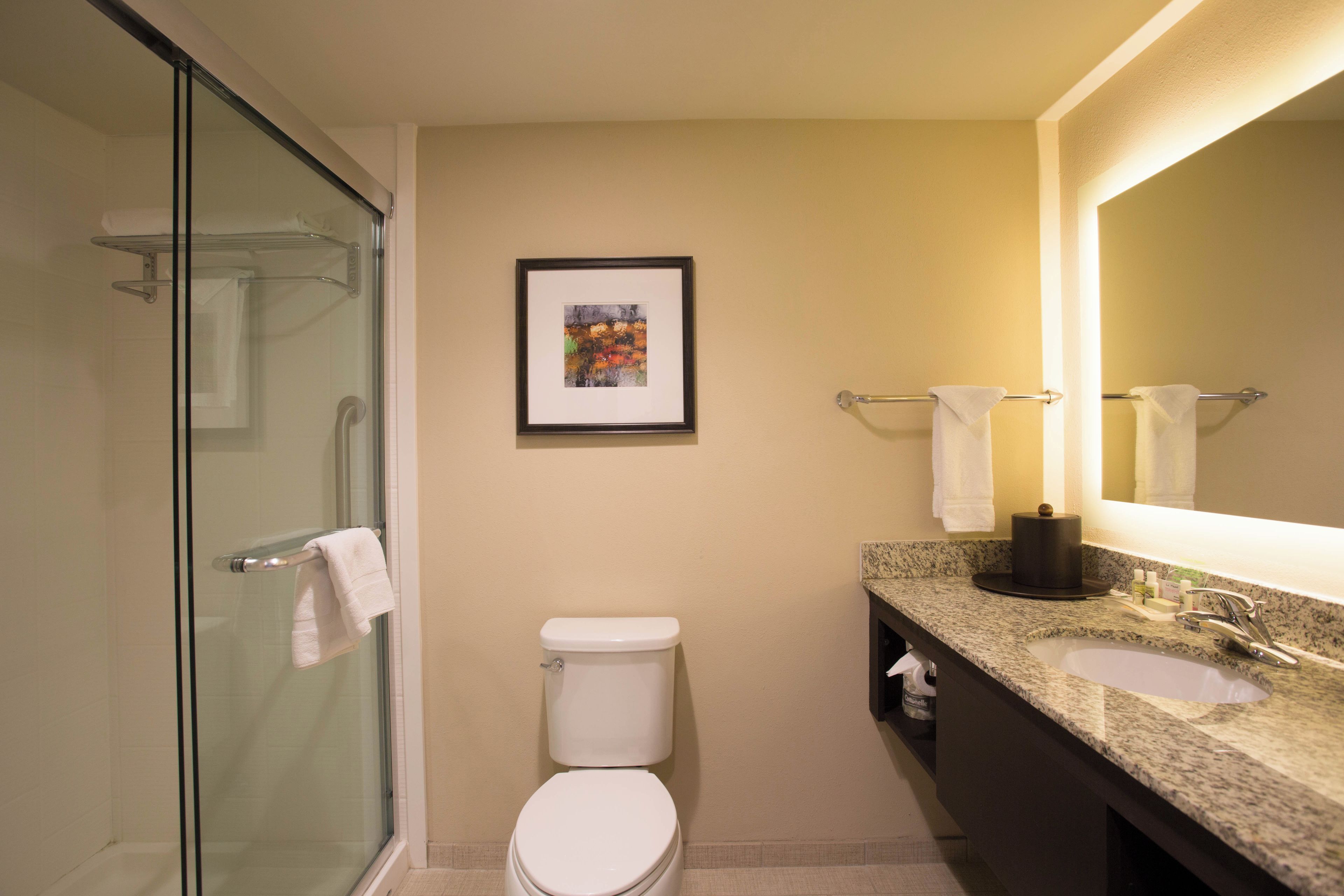 A bathroom with a glass shower enclosure, a toilet, a sink with a granite countertop, and a framed artwork on the wall.