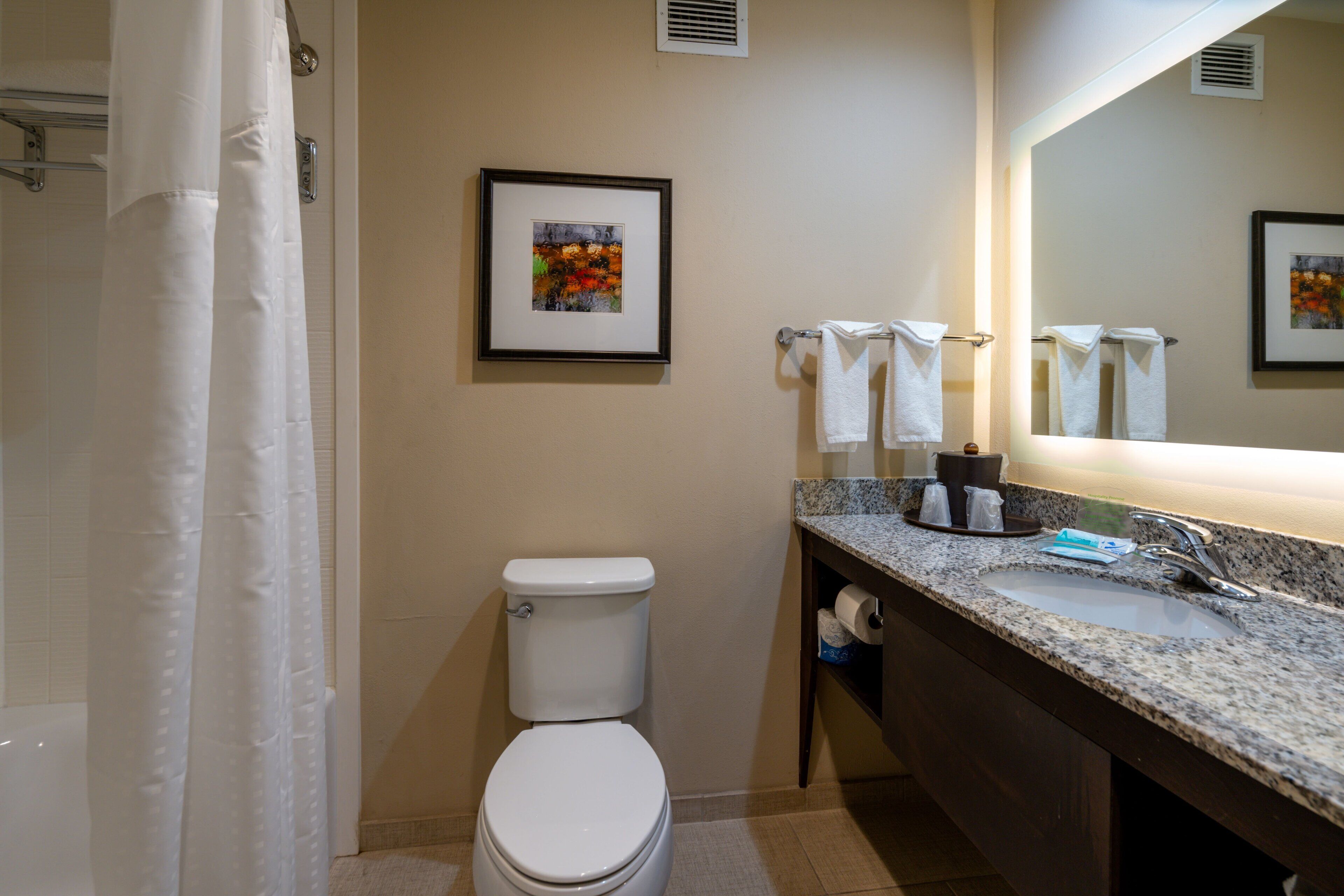 A bathroom with a toilet, sink, and shower curtain. There are towels hanging on a rack and a framed picture on the wall.