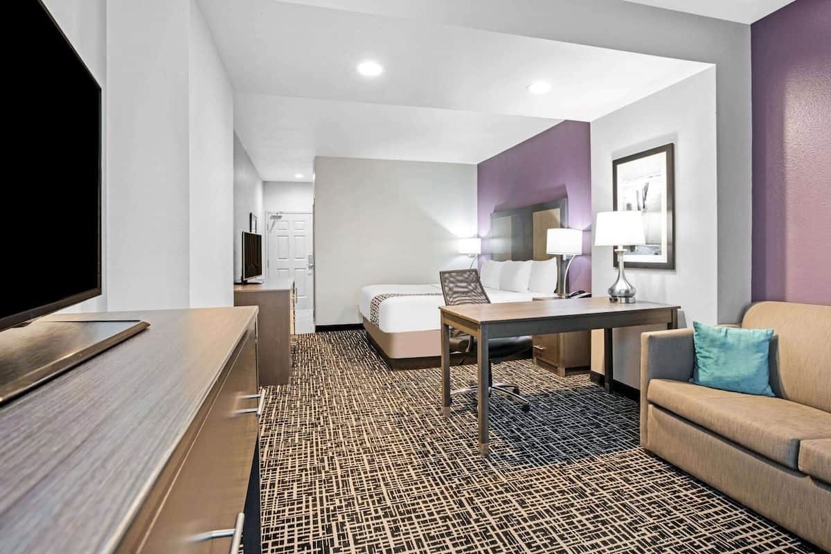 Une chambre d’hôtel avec un lit, un bureau, une télévision, un canapé et une moquette à motifs.