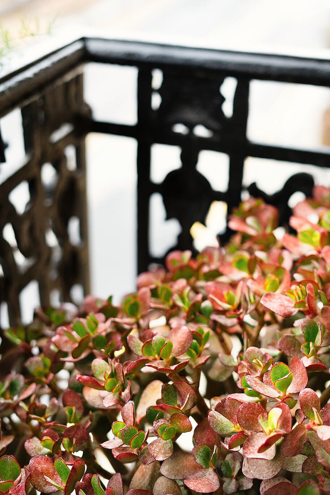 superior double room | premium bedding, down duvets, individually decorated