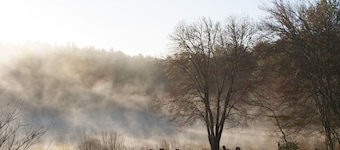 On Cranberry Pond B&B
