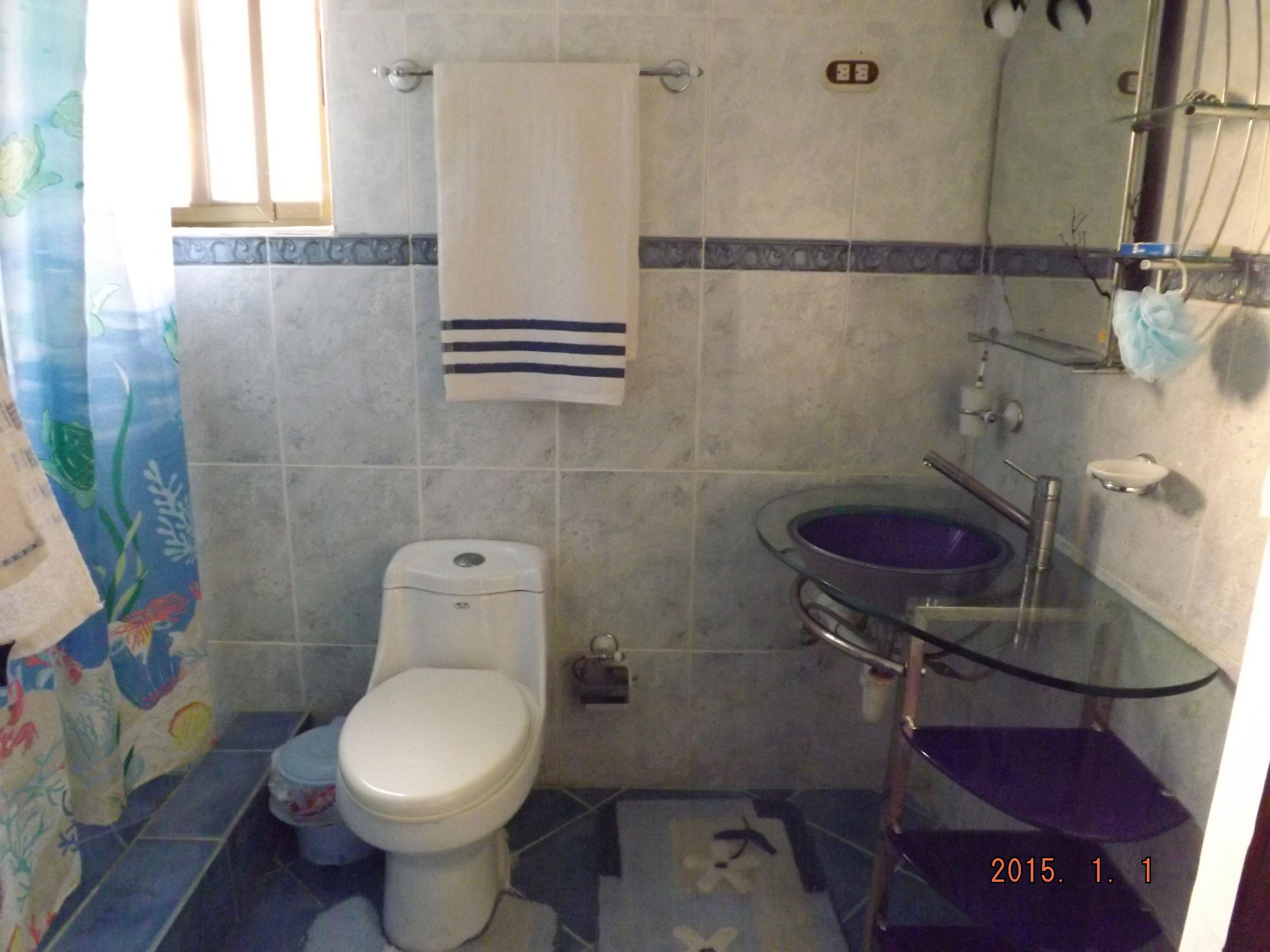 A bathroom with a toilet, a glass sink, and a shower area.