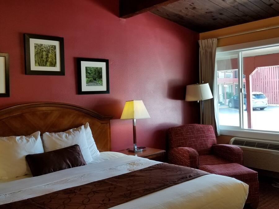 Standard Room, 1 King Bed, Refrigerator & Microwave | Room amenity