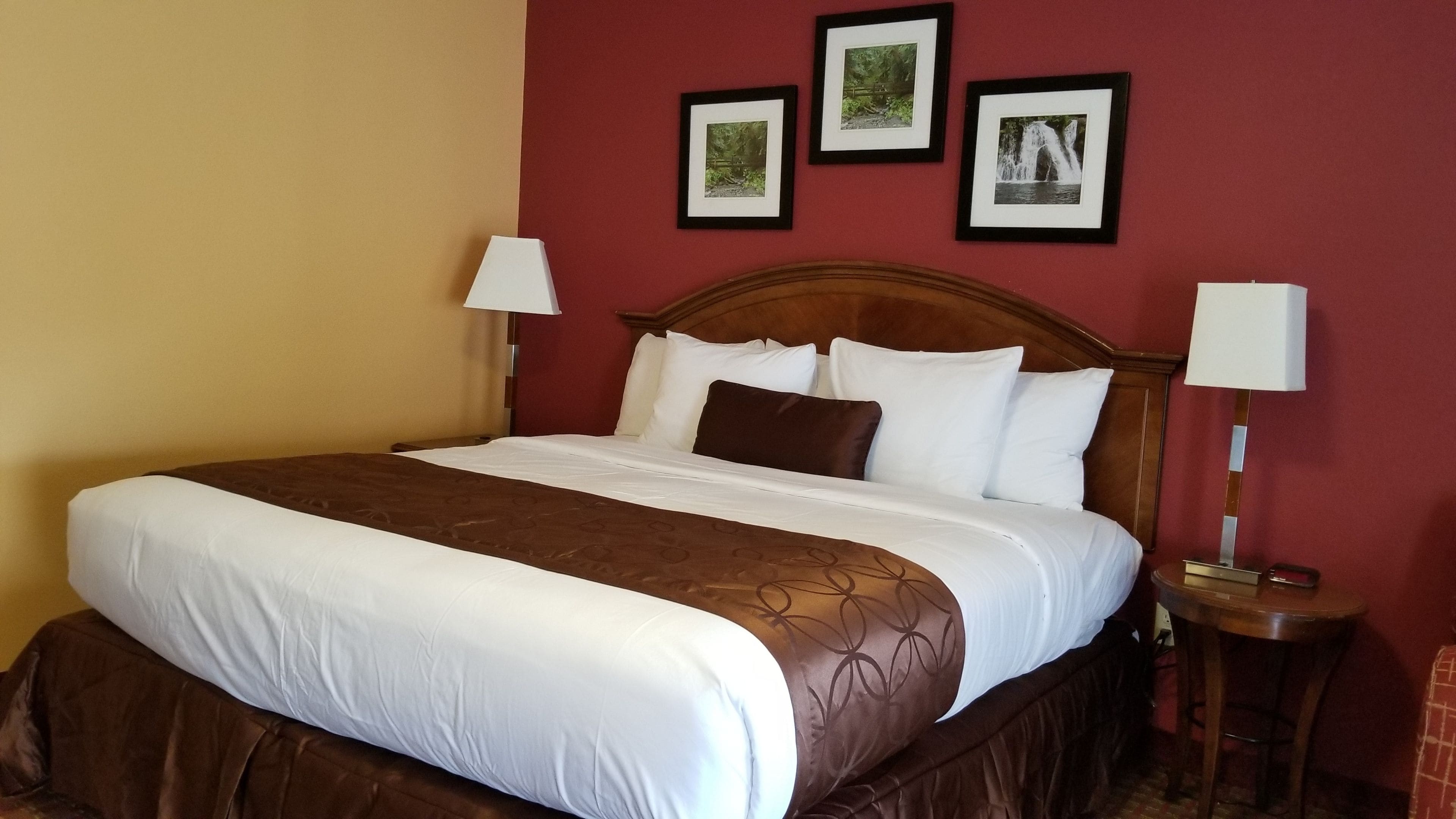 Deluxe Room, 1 King Bed, Refrigerator & Microwave | Desk, laptop workspace, blackout drapes, iron/ironing board