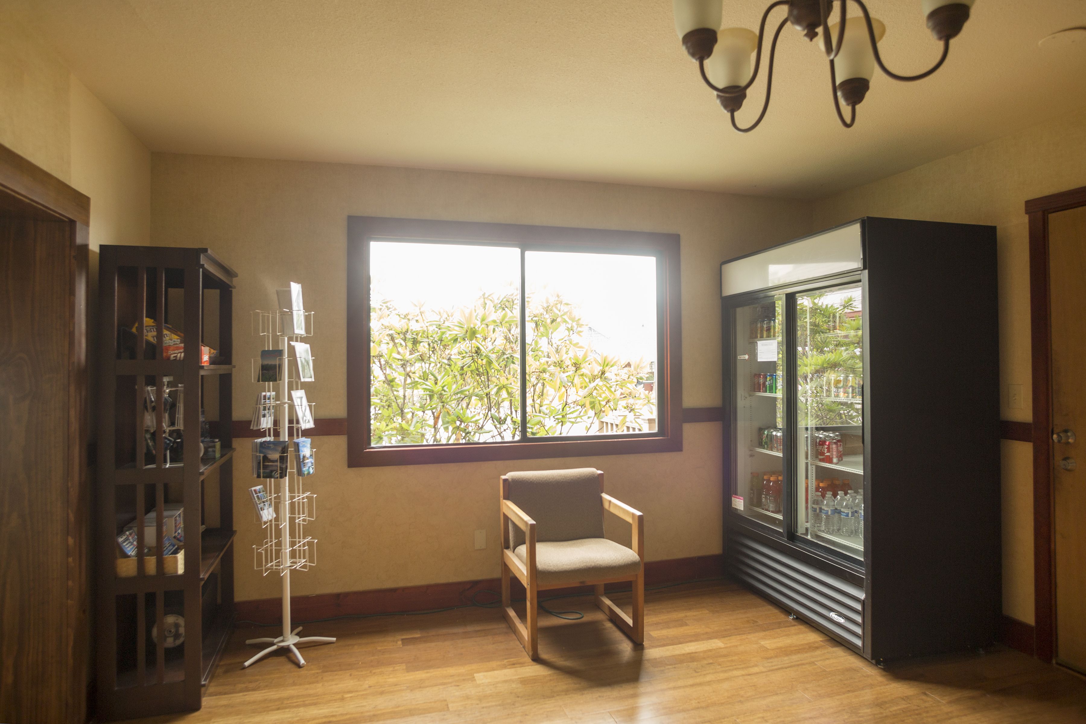 A room with a wooden floor, a window with a view of greenery, a chair, a bookcase, and a refrigerator.