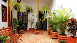 Un couloir avec un banc en bois, des plantes en pot et un sol carrelé.