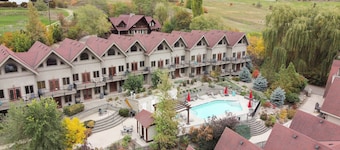 The Castle at Swan Lake