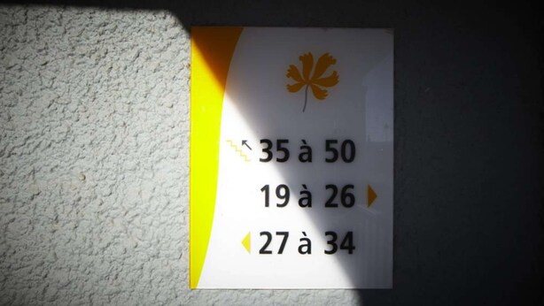 Señal con un símbolo de hoja de arce y tres flechas direccionales que indican los números de habitación de 35 a 50, de 19 a 26 y de 27 a 34.