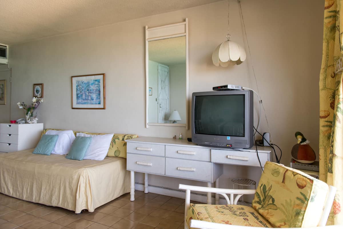 studio, multiple beds, kitchen, ocean view | wifi