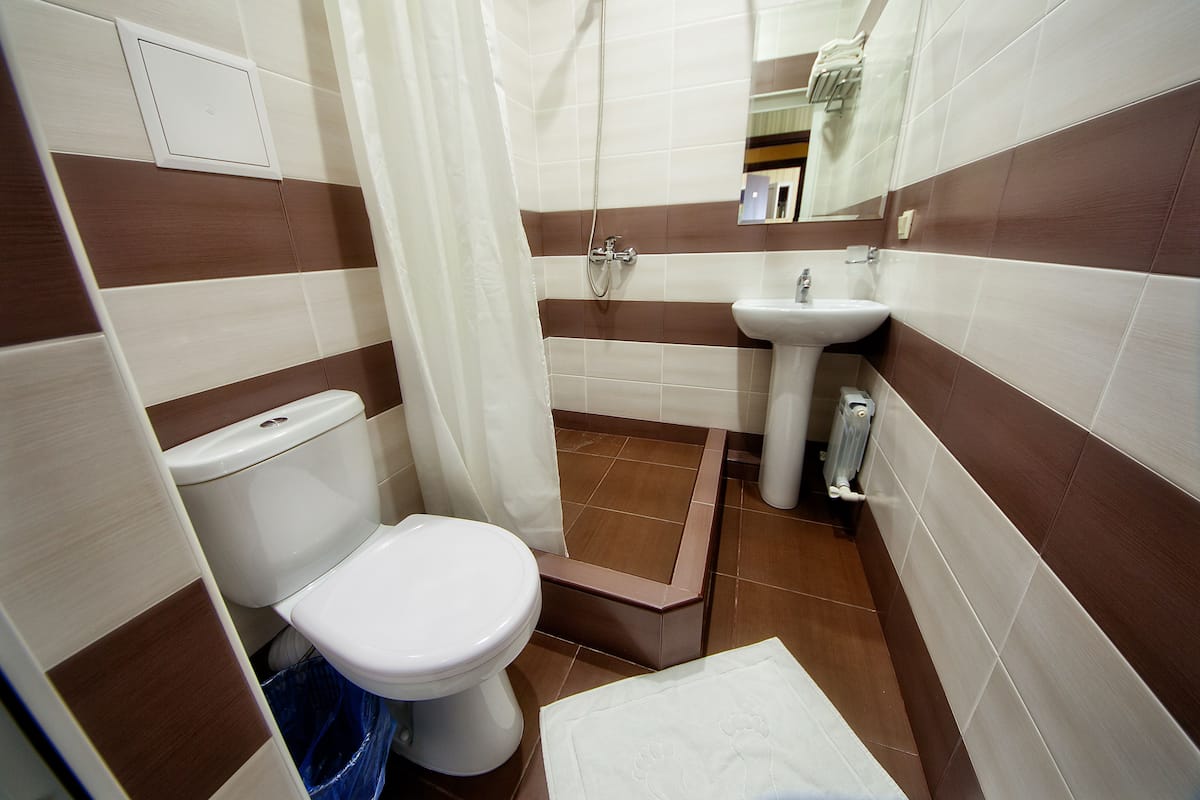 Standard Double or Twin Room | Bathroom | Shower, free toiletries, hair dryer, towels